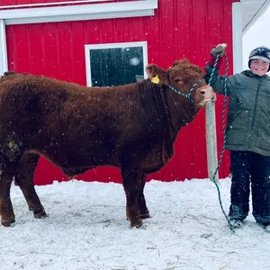 Wyatt Dennison w/ Steer Norman-Mayerthorpe 4H Club