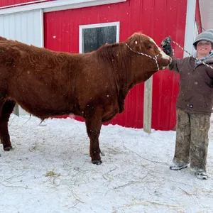 Barrett w/ Steer Navigator-Mayerthorpe 4H Club