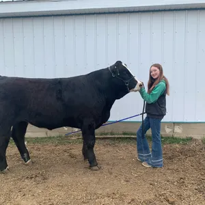 Heidi Steeves w/ Steer Nigel-Cherhill 4H Multi Club