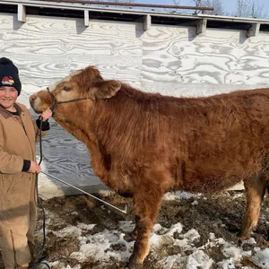 Nash Steeves w/ Steer Huddy-Cherhill 4H Multi Club