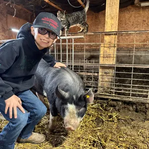 Wesley Madsen w/ Pig Frank-Cherhill 4H Multi Club