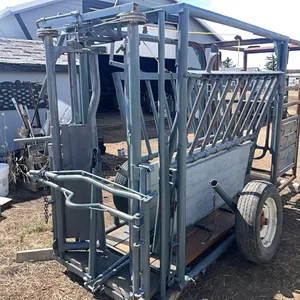2W Cattle Squeeze with Palpation Cage with transport wheels and hitch.