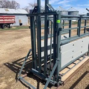 Somerville Cattle Calving/ Clipping Squeeze