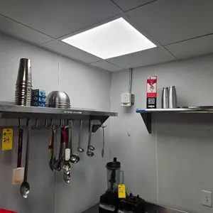 Asst Stainless Steel Wall Shelves w/ Contents