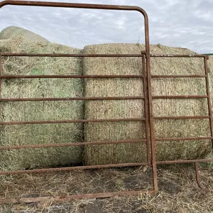 8 Ft. Panel w/ 5 Ft. Walk Thru Overhead Frame Gate - #2
