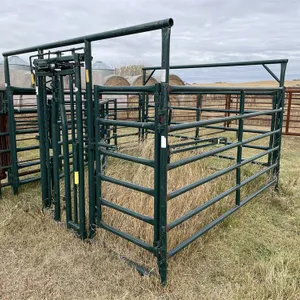 HI-HOG Maternity Pen w/ Headgate