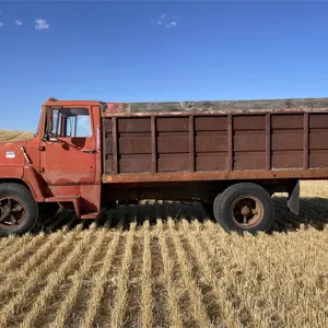 1972 FORD 600 s/a Grain Truck w/ Steel Box & Dual Cylinder Hoist, 10.00-20 Tires