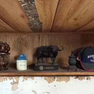 Buffalo Statue, Lamp, Cast Iron Stove, etc.