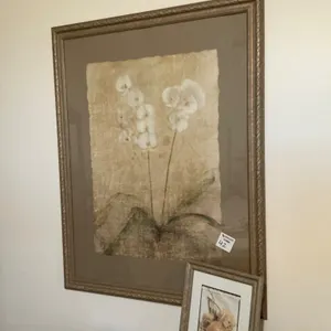 Framed Floral Artwork Set