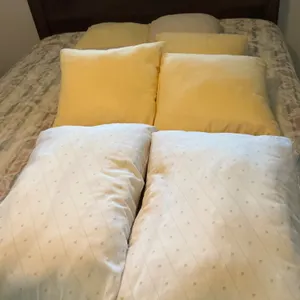 Bed Pillows