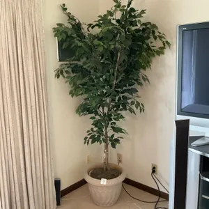 Potted Artificial Tree