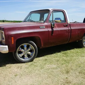 1978 Custom Deluxe 10 2WD Heavy 1/2 Auto