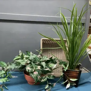 BASKET OF ARTIFICIAL GREENERY - (2) SMALL POTTED PLANTS
