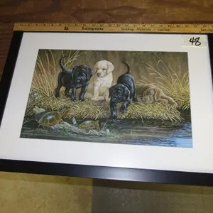 PUPPIES & TURTLES PICTURE
