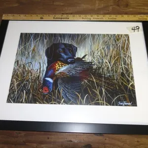 JIM HANSEL PICTURE
