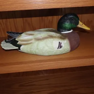 DUCK DECOY