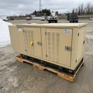 Generac 20 KW Generator 2077388