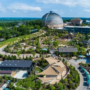 4-Daytime Admission Tickets