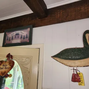 Metal Duck & 2 Pictures