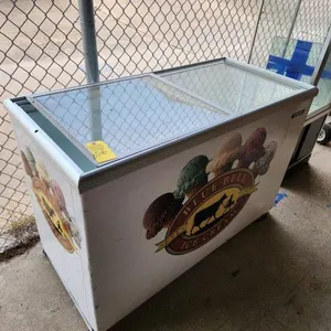 Metalfrio Display Ice Cream Freezer