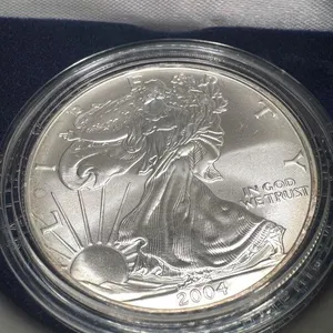 2004 American Eagle Silver Dollar