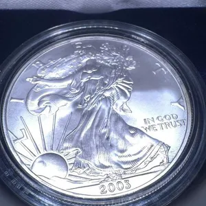 2003 American Eagle Silver Dollar
