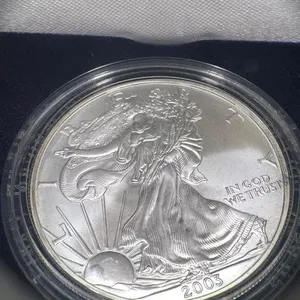 2003 American Eagle Silver Dollar