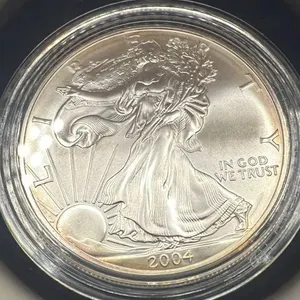 2004 American Eagle Silver Dollar