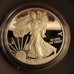 2013 - W American Eagle One Ounce Silver Proof Coin