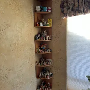 Shelf & Contents