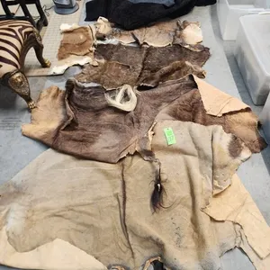 Tote of Misc. Animal Hides