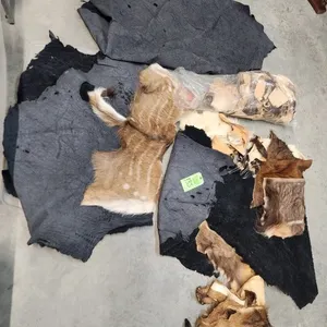 Tote of Misc. Animal Hides