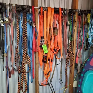 Tie Downs & Straps