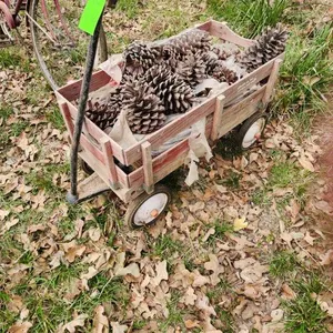 Vintage Sears Wagon w/ Large Pine Cones