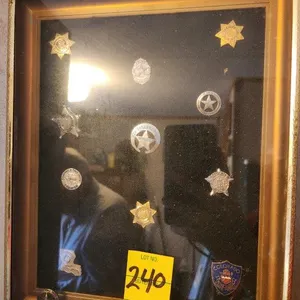 Framed Miniature Badges