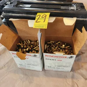 .22 Ammo Approx. 800 Rounds in Ammo Box