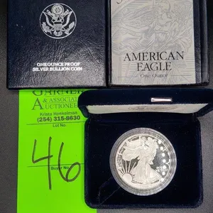 1 Oz Silver American Eagle Coin