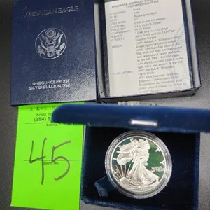 1 Oz Silver American Eagle Coin