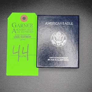 1 Oz Silver American Eagle Coin