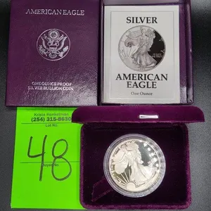 1 Oz Silver American Eagle Coin