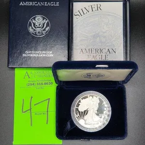 1 Oz Silver American Eagle Coin