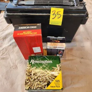 45 Colt & 22LR Ammo in Ammo Box