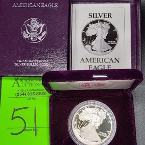 1 Oz Silver American Eagle Coin