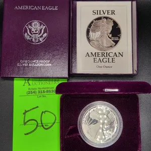 1 Oz Silver American Eagle Coin