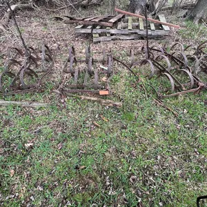 4 Section Spring Tooth