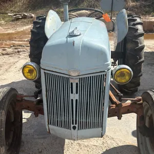 Ford 9N Tractor (Denmark, WI)