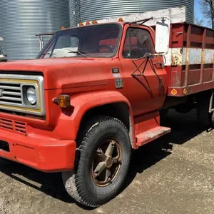 1976 Chev C60 single axle Grain Truck, VIN# CCE616V134177, 41,386 kms showing, OWNER: Fingas Farms Ltd, SELLER: FRASER AUCTION________________________