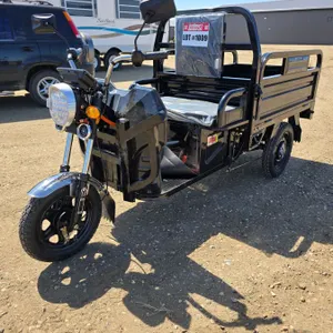 SDLANCH 2026 Electric Tricycle - Cargo : ET13 (Black)