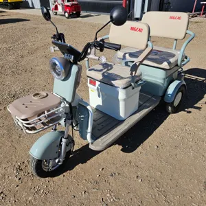 SDLANCH 2026 Mini Electric Golf Cart : IRGC40 (Green) (3-Wheel)