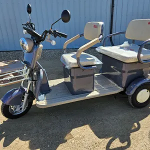 SDLANCH 2026 Mini Electric Golf Cart : IRGC40 (Purple) (3-Wheel)